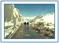 Manali,Manali Hill Station,Manali Hill Resorts,Manali Hill Station Tour