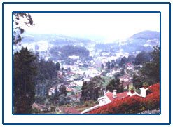 Ooty,Ooty Hill Station,Ooty Hill Station Tour,Hill Resorts in Ooty