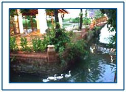 Punnamada Backwater Resort Alleppey,Punamada Backwater Resorts in Alleppey,Punnamada Backwater Luxury Resort of Alleppey