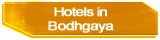 Hotels In India