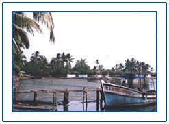 Ernakulam,Ernakulam Kerala,Ernakulam Tour,Ernakulam Travel in Kerala India