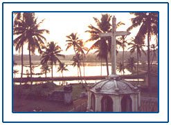 Kottayam,Kottayam Kerala,Kottayam Kerala Tour,Kumarakom Bird Sanctuary Kerala