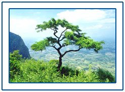 Palakkad,Palakkad Kerala,Palakkad Kerala Tour,Palakkad Kerala Travel India