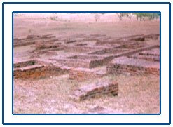 Kaushambi,Kaushambi Tour,Kaushambi Buddhist Pilgrimage Tour,Buddhist Pilgrimages Travel