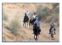 Horse Safari,Horse Safari in Rajasthan,Rajasthan Horse safari Tour