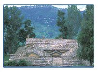 Almora Hill Resorts,Hill Resorts in Almora,Snow View Resort Almora,Hill Hotels in Almora