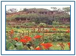Paclunari Hill Resorts,Hill Resorts in Paclunari Madhya Pradesh,Hill Hotels of Paclunari,Hotel Giri Shringar in Paclunari